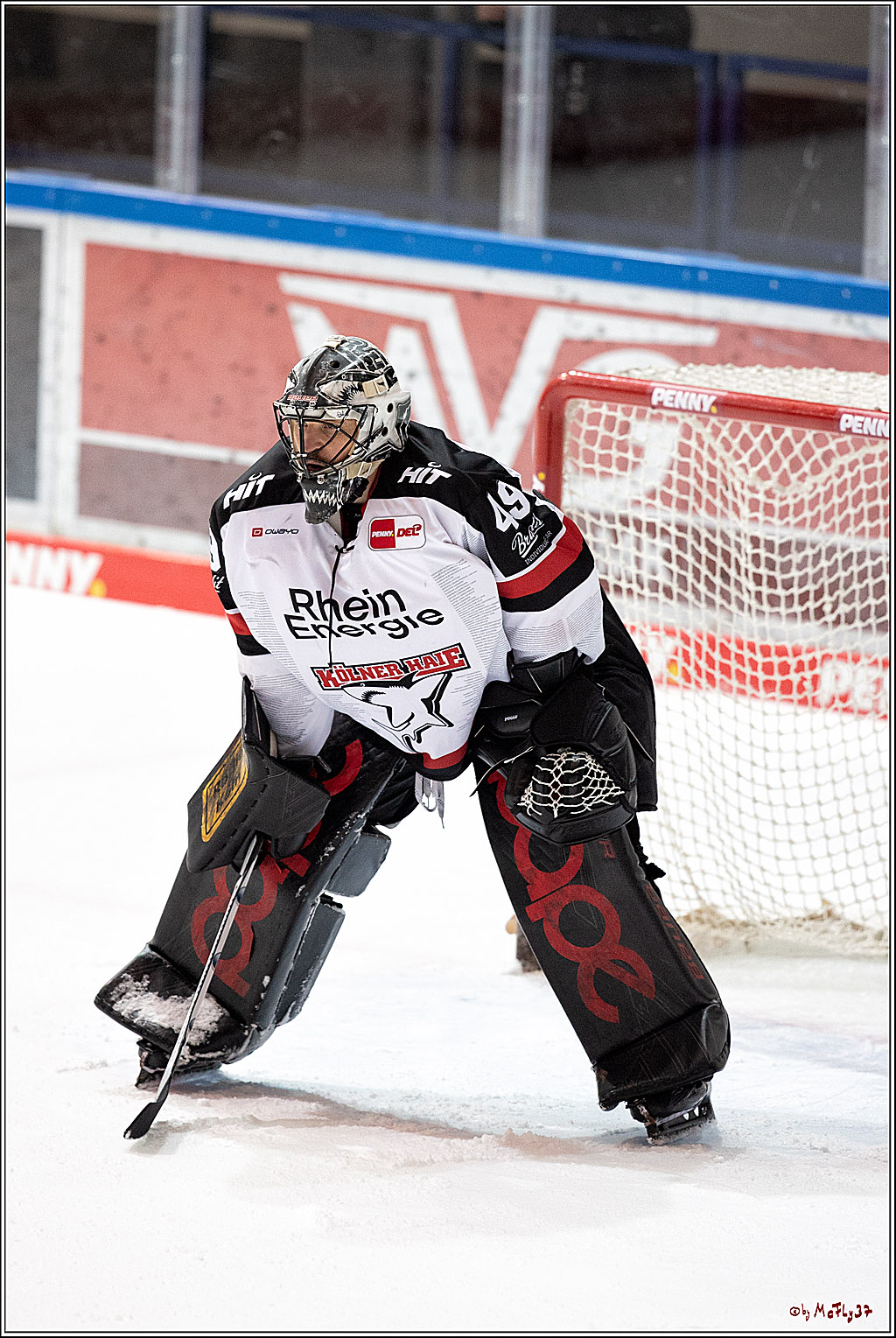 PENNY DEL;  Iserlohn Roosters - Koelner Haie; Koeln, 05.12.2021